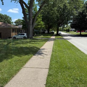 yard work by ALL STAR LANDSCAPING LLC reviewed on September 13, 2025
