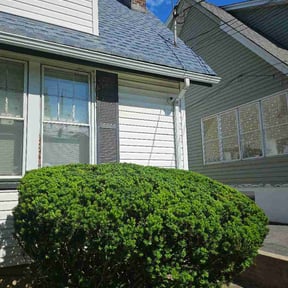 Bush Trimming by ATR Property Services reviewed on June 1, 2026