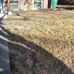 Leaf Removal by Adrian garcia reviewed on November 23, 2025