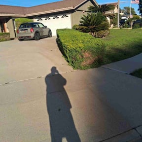 Bush Trimming by Johan LANDSCAPING reviewed on November 18, 2025