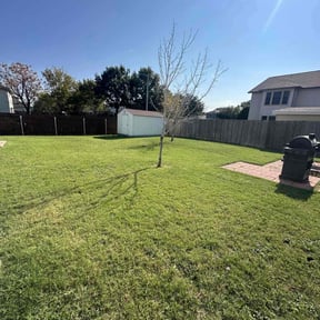 grass maintenance by Jay's Resource reviewed on March 4, 2024