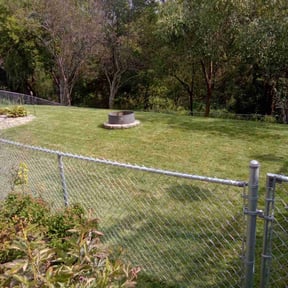 yard maintenance by Black Bull Landscape reviewed on August 12, 2024