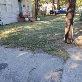 Leaf Removal by Whip it Clean Inc. reviewed on September 6, 2025