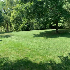 yard work by Serenity Lawn and Leaf reviewed on November 19, 2025