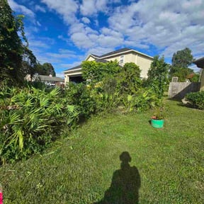 Bush Trimming by Lithium lawn care services LLC reviewed on August 14, 2025