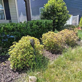 Bush Trimming by Patten Property care LLC reviewed on April 17, 2026