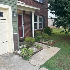 Bush Trimming by Dallas Enterprise LLC Lawn Care Services reviewed on November 10, 2025