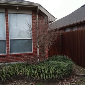 Bush Trimming by Hope Lawn Care reviewed on August 16, 2025