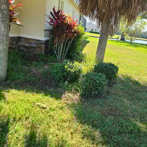 Flower Bed Weeding by DWC Lawn &amp; Janitorial Services LLC reviewed on October 19, 2025