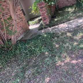Flower Bed Weeding by Heaven&amp;Jade lawn service reviewed on August 26, 2026