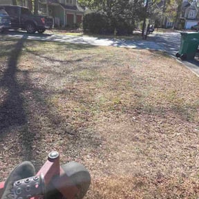 Leaf Removal by A4K Enterprises LLC reviewed on May 17, 2026