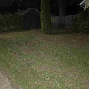 Leaf Removal by SS Landscaping and tree care services reviewed on April 14, 2026