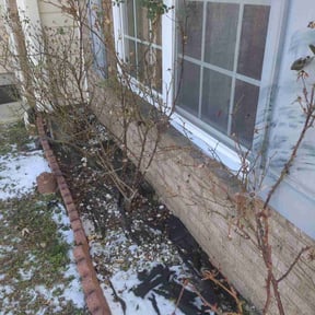 Flower Bed Weeding by Can’t Stop Me Inc. reviewed on May 3, 2026