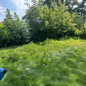 Bush Trimming by Pooh's Lawn Care & Home Improvements reviewed on August 21, 2025