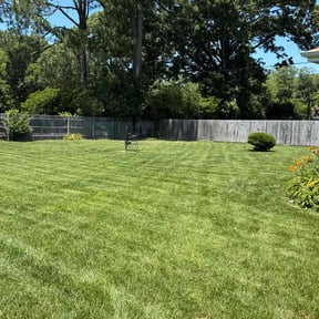 landscaping by Property Enhancements reviewed on November 28, 2025