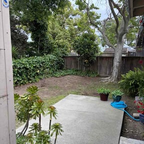 Bush Trimming by NextUp LawnCare reviewed on April 26, 2026