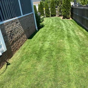 yard service by Frederickson Lawn Management reviewed on August 15, 2025