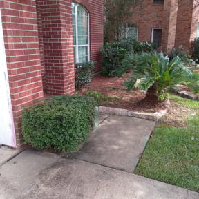 Bush Trimming by Equality Lawn Care reviewed on March 21, 2024