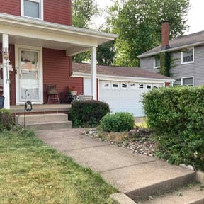 Bush Trimming by Diamond cutz lawn service reviewed on June 18, 2026