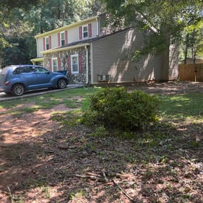 Bush Trimming by Right bayou reviewed on September 7, 2023