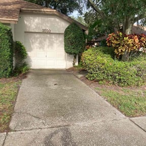 Bush Trimming by Whites property maintenance reviewed on August 19, 2025