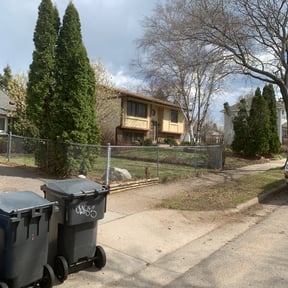 Leaf Removal by Buzy Bee'z Lawn Service reviewed on August 15, 2025