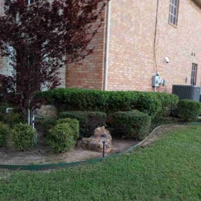 Bush Trimming by Casper lawn servise reviewed on August 15, 2025