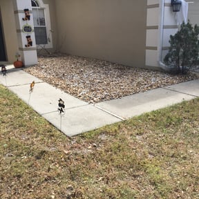 Flower Bed Weeding by Sprouts Landscaping reviewed on August 16, 2025