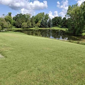 landscape maintenance by Brown Landscaping reviewed on August 17, 2025