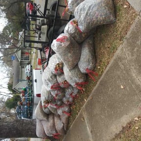 Leaf Removal by CyntMara Home and Lawns reviewed on October 3, 2025