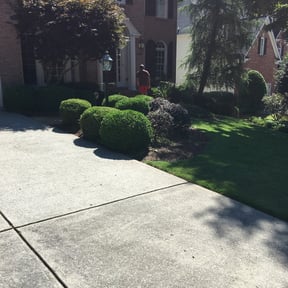 Bush Trimming by SLD & lawn care reviewed on August 18, 2025