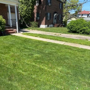 lawn care by M&M's Lawn Services reviewed on March 25, 2024