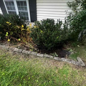 Bush Trimming by Robert Rizzo reviewed on August 21, 2025