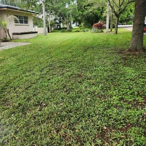 yard maintenance by Blade2Bloom reviewed on April 24, 2024