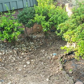 Leaf Removal by LAWN LUXE LLC reviewed on September 22, 2025