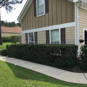 Bush Trimming by WJ Lawn and land are reviewed on August 15, 2025