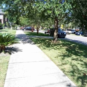 yard service by 4mk LLC reviewed on September 6, 2024