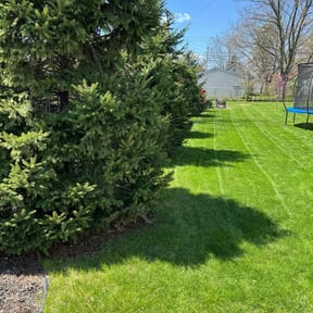 landscaping by Green Earth Lawn and snow LLC reviewed on August 16, 2025