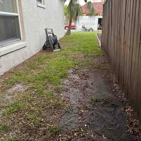 Leaf Removal by Safe build home services reviewed on March 27, 2026