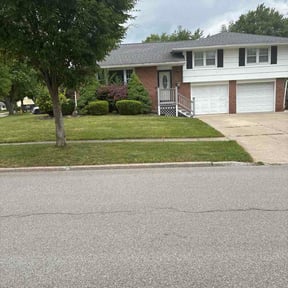 Bush Trimming by Perfect cuts landscapeing reviewed on August 4, 2026