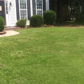 Bush Trimming by JD&#039;s Omaha Lawn Care reviewed on November 24, 2025