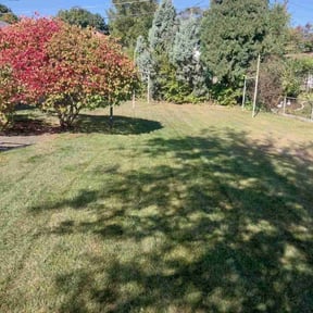 residential landscaping by Elevated Landscaping reviewed on August 15, 2025