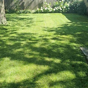 gardening service by Lindsay’s lawncare reviewed on August 15, 2025