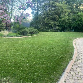 turf care by Legend Property Care LLC reviewed on August 18, 2025