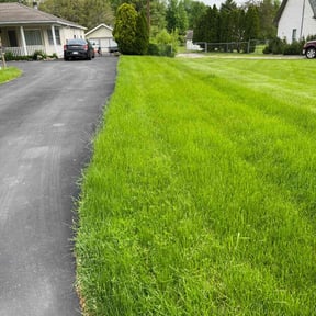 landscape maintenance by ChinaCat Landscaping reviewed on August 17, 2025