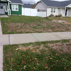 Leaf Removal by Lawn Concierge Services or LCS reviewed on October 24, 2025
