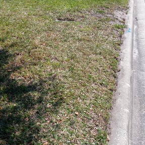 Leaf Removal by Frog&#039;s Handyman Service reviewed on September 16, 2025