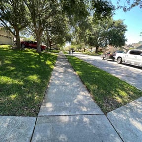 gardening service by Friendly Lawn Services reviewed on March 8, 2025