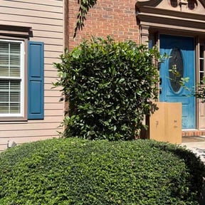 Bush Trimming by Lynn's lawn care reviewed on June 2, 2026
