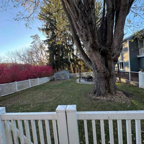 Leaf Removal by Dino Cuts Lawn Care reviewed on July 31, 2026